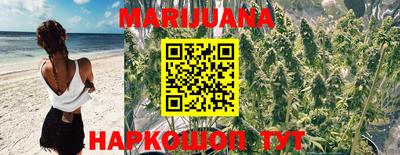 кокс Аша