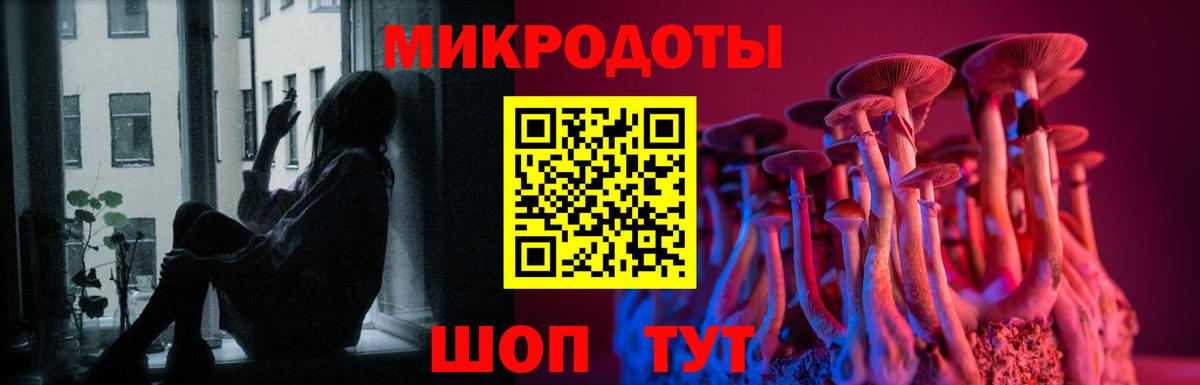 Псилоцибиновые грибы Magic Shrooms  Псилоцибиновые грибы GOLDEN TEACHER  Вязники  Вход с VPN 